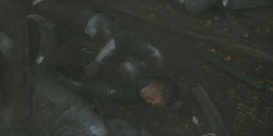 HouseOfTheDragon_3x08-TheTreasonsAtTumbleton_06047