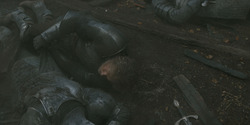HouseOfTheDragon_3x08-TheTreasonsAtTumbleton_06055