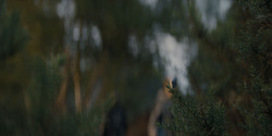 HouseOfTheDragon_3x08-TheTreasonsAtTumbleton_06265