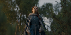HouseOfTheDragon_3x08-TheTreasonsAtTumbleton_06272