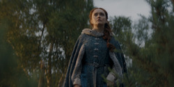 HouseOfTheDragon_3x08-TheTreasonsAtTumbleton_06276