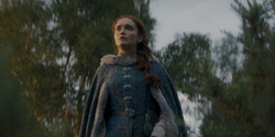 HouseOfTheDragon_3x08-TheTreasonsAtTumbleton_06278